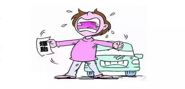 191705655901830009.jpg 1.jpg